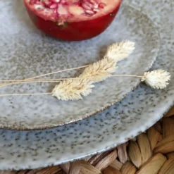 Novastyl Lot De 6 Assiettes Plates En Grès 27cm 7 Novastyl Lot De 6 Assiettes Plates En Grès 27cm -Assiettes Soldes Magasin lot de 6 assiettes plates en gres 27cm 2